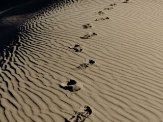 Tracking - Spuren im Sand